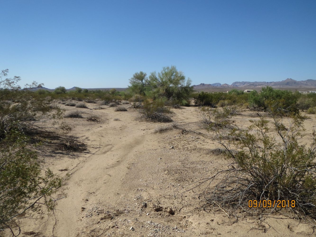 Lot 36A& Douglas Ln: Douglas Ln, Yucca, AZ 86438